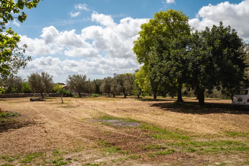 Alberi e prato della proprietà sotto un cielo azzurro con nuvole