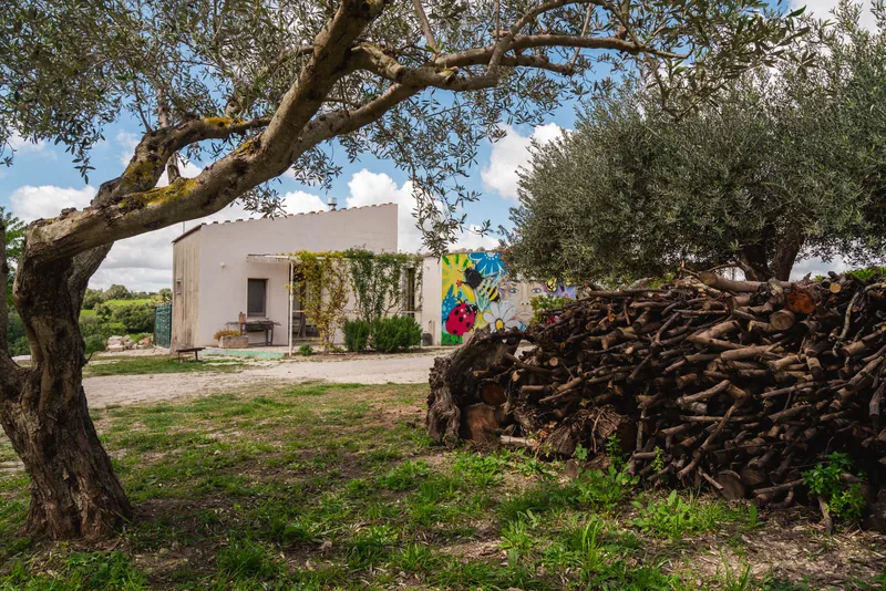 Casa con murale vista tra gli ulivi e una catasta di legna