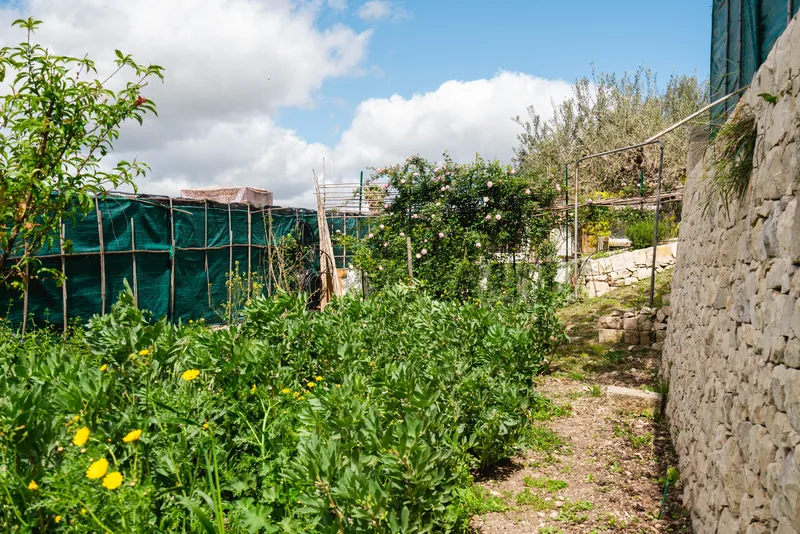 Orto verde delimitato da muretti in pietra
